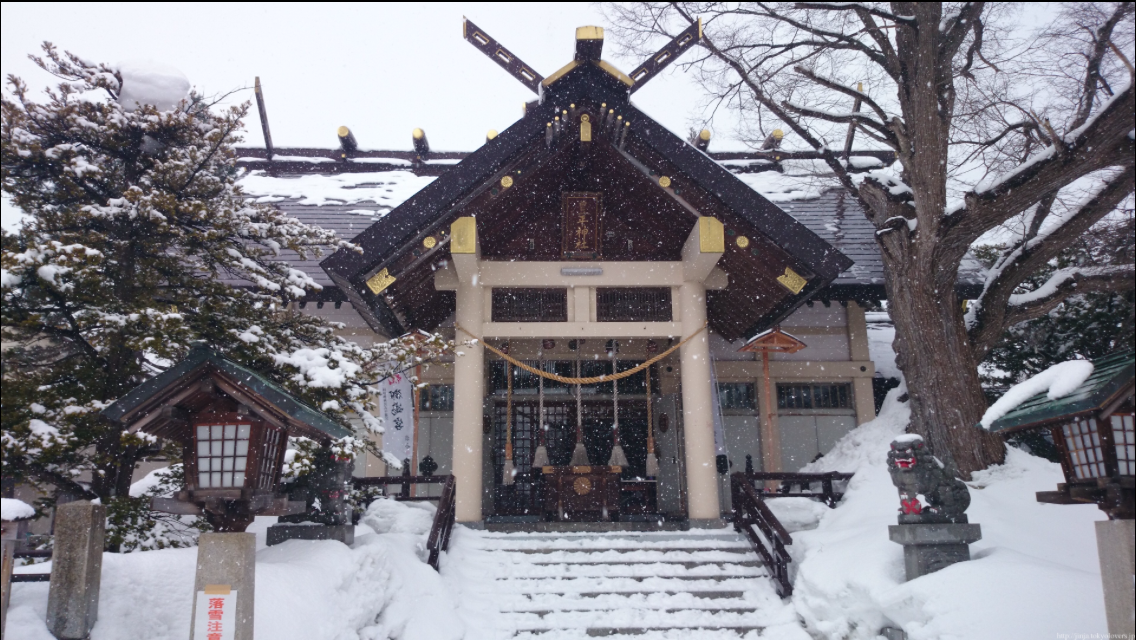 カラダカイロ　神社参拝