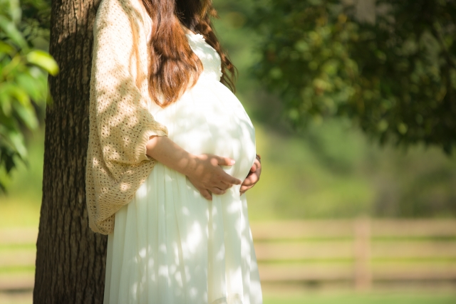 カラダカイロ　妊婦