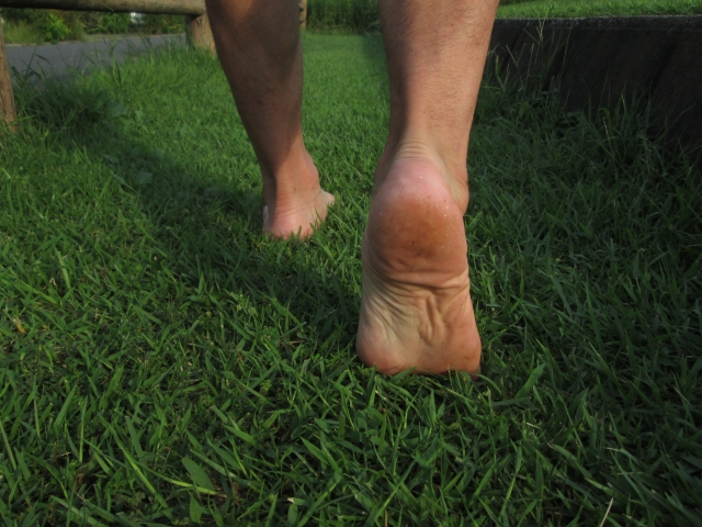 札幌白石区整体【猫背骨盤矯正専門】カラダカイロ　